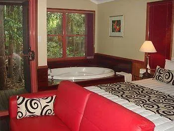 Amore On Buderim Rainforest Cabins Sunshine Coast